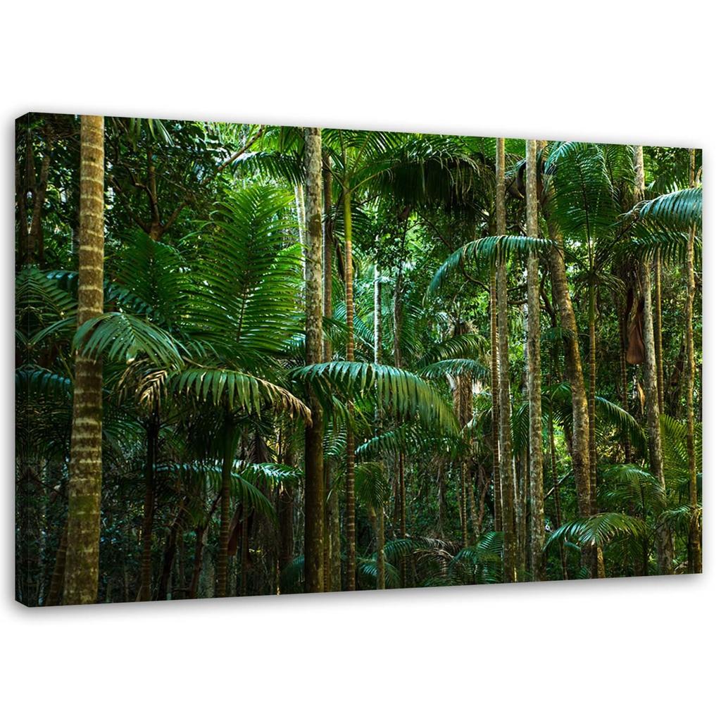 Canvas Print, Tropical Forest Green Palms