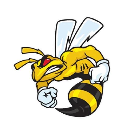 

Водонепроницаемая статическая наклейка на автомобиль без клея, забавная декорация в виде цветка и злой осы, съемное автомобильное искусство для заднего бампера