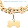 Zarter Haustieranhänger Goldener Titanstahl Hundehalsband 1 Stück