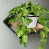 Single-level wall shelf, hanging flower stand, loft wall shelf, living room