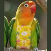 Adjustable Bird Flight Suits Escape Proof Feces Pocket Parrot Flying Harness Breathable Parrot Outdoor Leashes Bird Training