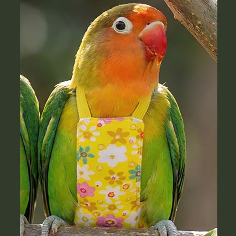 Adjustable Bird Flight Suits Escape Proof Feces Pocket Parrot Flying Harness Breathable Parrot Outdoor Leashes Bird Training