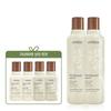 Rosemary Mint Shampoo 250ml Duo  +Shampoo 100ml   Conditioner 100ml 