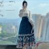 Chinese Ming Dynasty Style Hanfu Women's Stand Collar Daily Print horse-face  Skirt