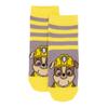 Paw Patrol Childrens/Kids Socks (Pack of 5)