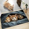 2D Wooden Hole with Four Cats Protruding Soft Pad Cartoon Cat Entrance Door Mat Bathroom Kitchen Anti Slip Mat