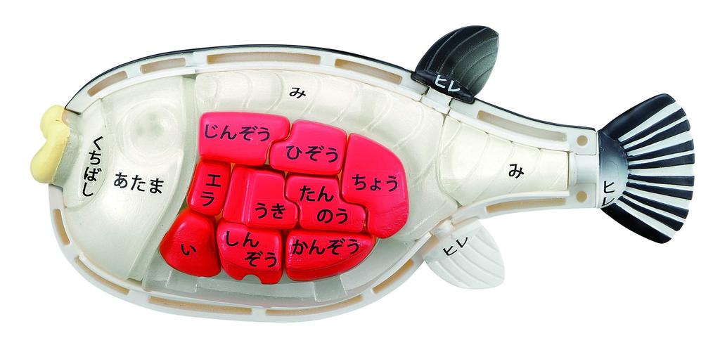 MegaHouse Buy Tiger Pufferfish Dissection Puzzle for ages 6 and up One!!