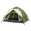 Dome Camping Tent for 3 Persons Green Quick Release