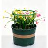 Compact Size Tomato Cage Plant Support Tomato Trellis