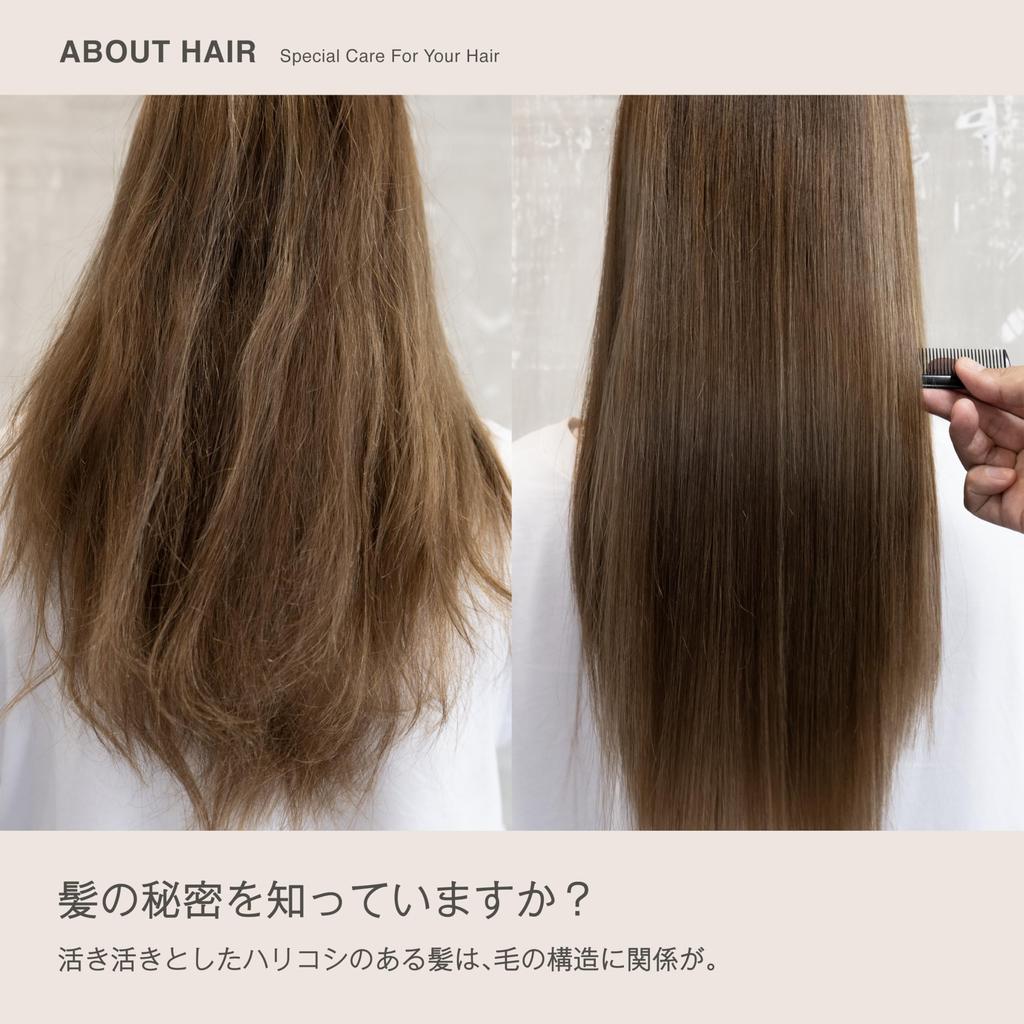 ageaLotion (Asia Lotion) Leave-in Treatment Hair Mist, Silicone-Free [Improve Your Hair Quality at Home with Apple Stem Cell Mist, 150ml]