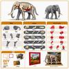 DIY 3D Dinosaur Skeleton Model: Tyrannosaurus & Triceratops