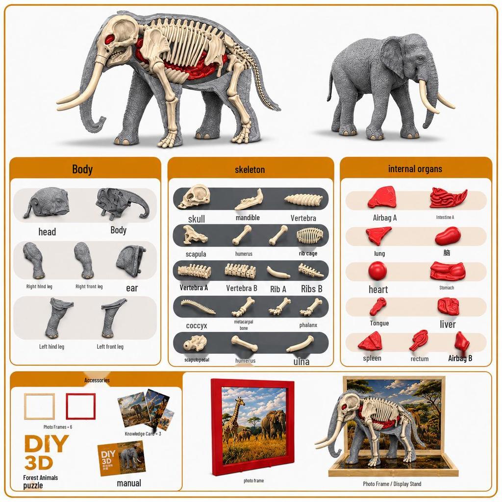 DIY 3D Dinosaur Skeleton Model: Tyrannosaurus & Triceratops