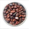 Natural Polished Gemstones for Children's Fish Tank & Landscaping Décor