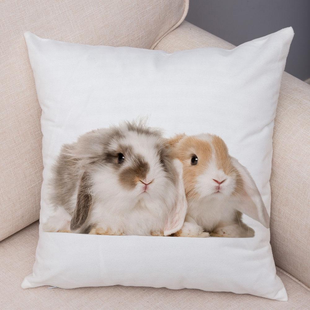 Home Sofa Kids Room Decor Cute Pet Animal Print Cushion Cover Pillowcase  Rabbit