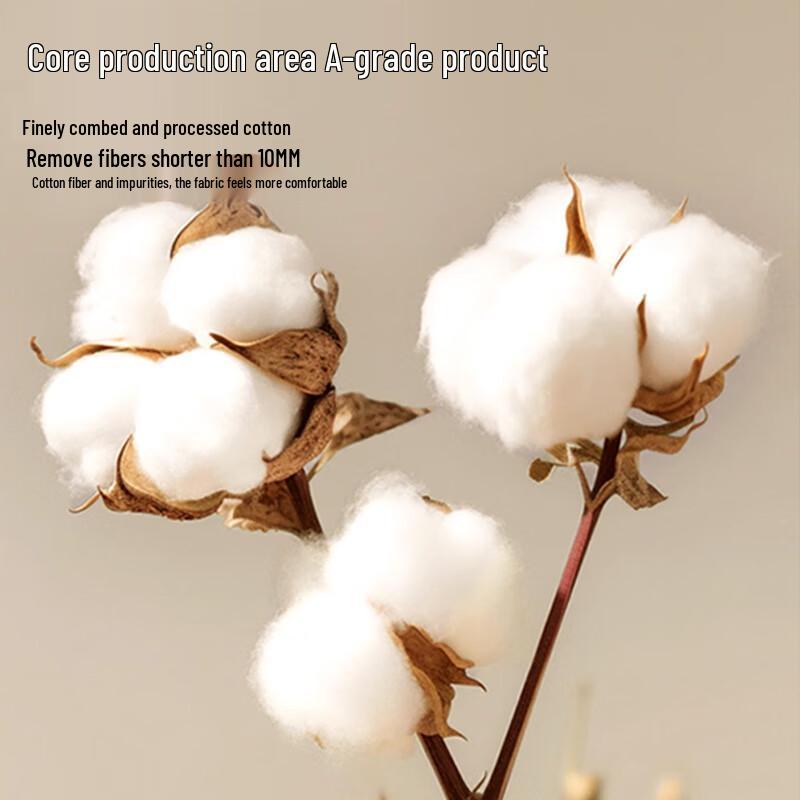 MaoRen Men's A-Grade 10A Antibacterial Jacquard Cotton Boxer Briefs