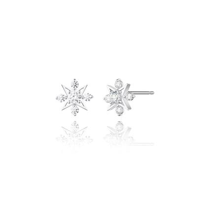 Polaris Silver Earrings Sa24A82P