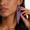 Silver Needle Luxury Full Diamond Tassel Earrings - Elegant High-End Niche Studs for Women