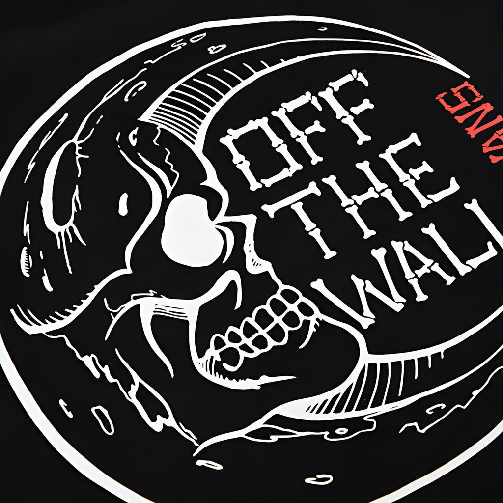 Vans Fallen Deep SS Skull Print Short Sleeve T-Shirt Women Tops Black VN0A4BRKBLK