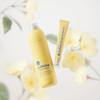 [NINE LESS] Root-Biome Caffeine Scalp Shampoo 300ml