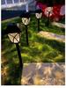 Waterproof Solar Lawn Lights - Garden, Courtyard & Yard Decoration