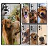 Labrador Golden Retriever Dog Phone Case For Xiaomi Redmi Note 14 13 12 5G 9S 9 10 11 Pro Plus 9T 14C 13C 12C 10C 9C 9A Cover
