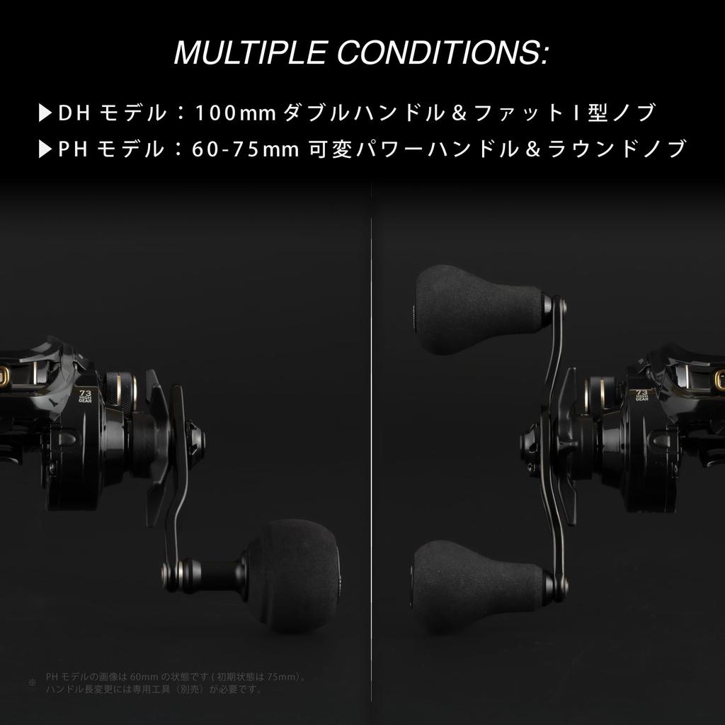 Tailwalk SEIRENS BM Spinning Reel for Offshore Fishing 100HG-DH/L