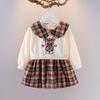 Girls Cartoon Long Sleeve Dress Spring Autumn Toddler Fake Two Piece Design Stylish Princess Dress For Little Kids