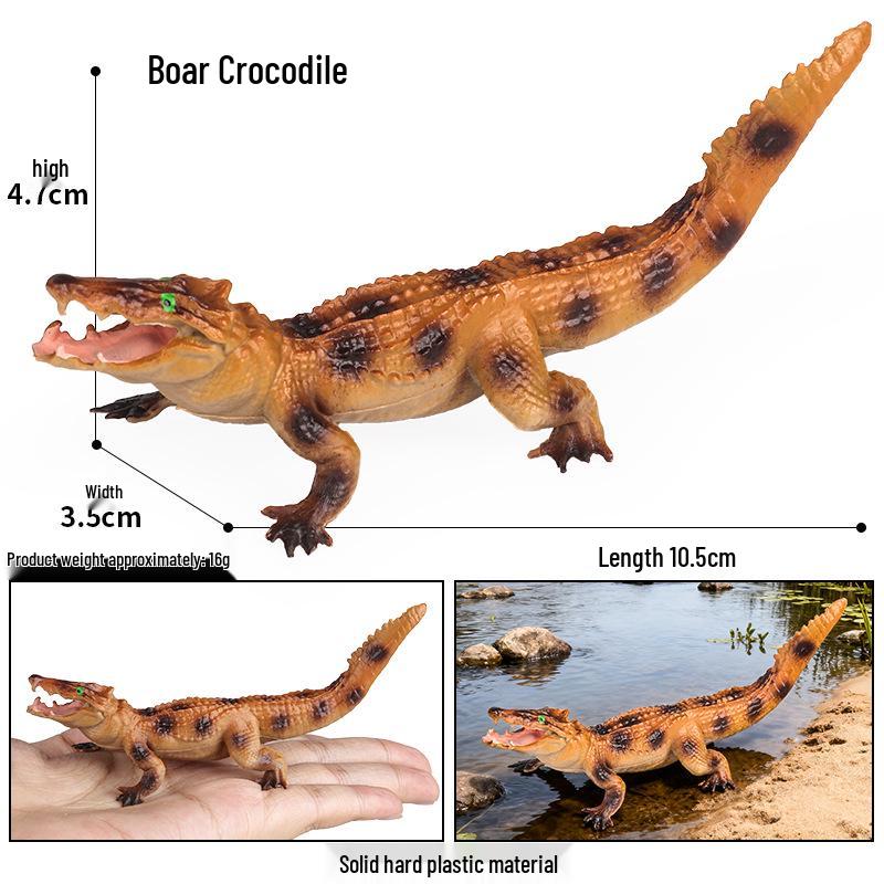 Wild Crocodile & Boar Cognitive Toy for Kids – Realistic Animal Models