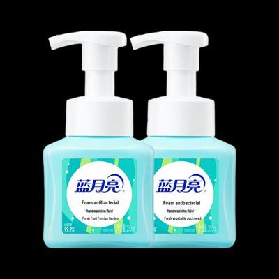 Blue Moon Fresh Fruit Mint Foaming Antibacterial Hand Wash
