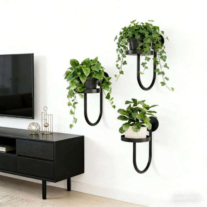 3 Stück Mehrzweck-Wandpflanzenhalter zum Aufhängen von Grünpflanzen Platzsparend für Innenräume Moderne Dekorationen Pflanzgefäß Halter Gestell