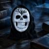 Realistic Horror Skeleton Masque Halloween Ghost Full Face Masque, Screaming with Scary Hood, Costume Accessory for Cosplay Party, Haunted House Props