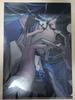 [USED] Ado Hibana First-Press Limited Edition Bonus: A4 Clear File