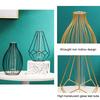 Metal Frame Vase with Clear Glass Tube Hydroponic Container for Desk Decoration