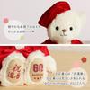 Petit Lou 60th Birthday Celebration Kanreki Bear with Amulet Pouch 12cm Normal