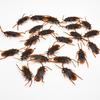 Non-Toxic 5-50Pcs Horrifying Funny Cockroaches Joke Decoration Props Rubber Toy Gags Practical Jokes Toys Simulation Plastic Centipede