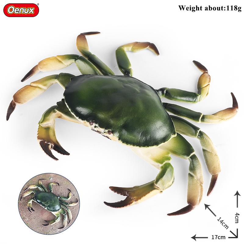 

Oenux Имитация Океанических Животных Рак-отшельник Наутилоидея Осьминог Морская Жизнь Модель Фигурки Коллекция Фигурок Экшн Фигурки Детская Игрушка Подарок