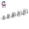 Chuchang 304 Stainless Steel Hexagonal Threaded Plug