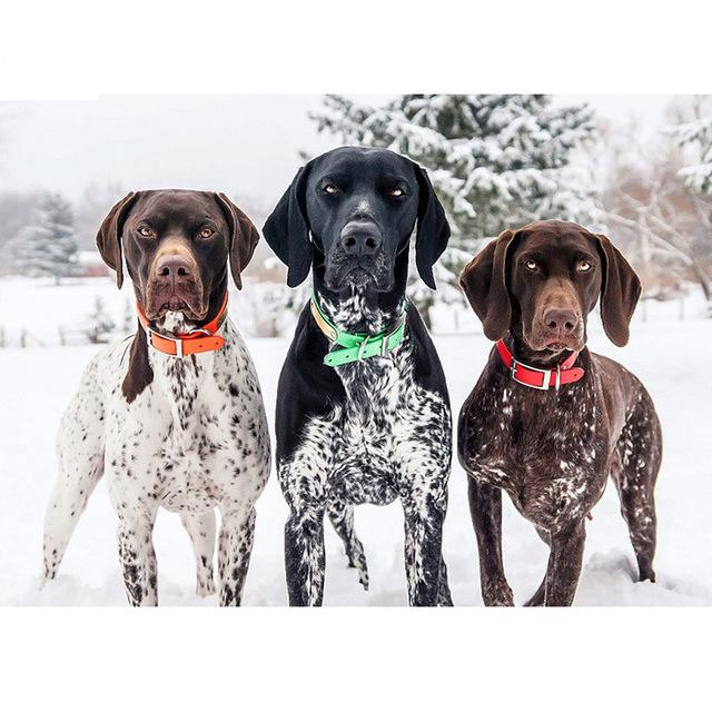 Pictură cu diamant 5D DIY câine drăguț animal de companie cu punct de cruce broderie cu diamante mozaic animal foraj complet rotund