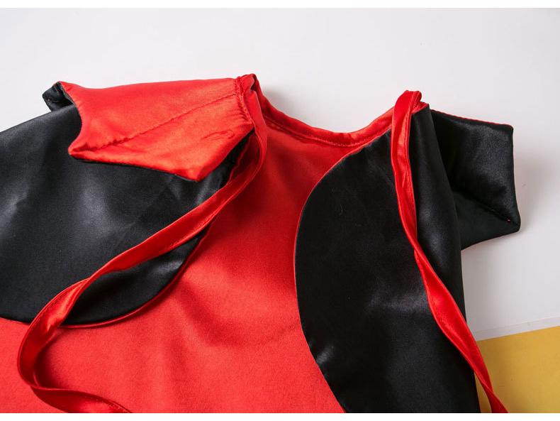 Cross-border Halloween Pet Costume: Witch Cape for Cats & Dogs