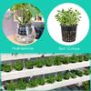 Planting Mesh Cup Hydroponic System Net Basket Soilless Flower Pot Plastic Plant Rooter Slotted Colonization Container 5/50Pcs