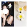 Plumeria Hair Clips (10 Pack) - Hawaiian Hibiscus Flower Hair Accessories for Travel, Beach, Weddings, Photoshoots & More