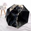 1pc Moonlit Cat Night Scene Auto-Fold Umbrella with One-Touch Open/Close - 8 Reinforced Ribs for Windproof Stability,  Yy251118127