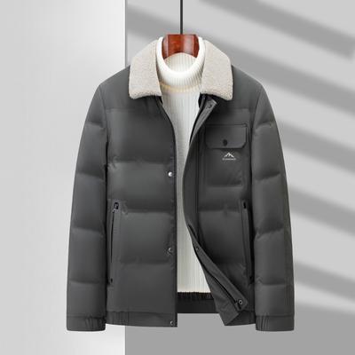 Men's Down Jacket Autumn and Winter White Duck Down Warm Tooling Version Can Be Removed Lamb Wool Collar Young and Middle-aged Down Jacket