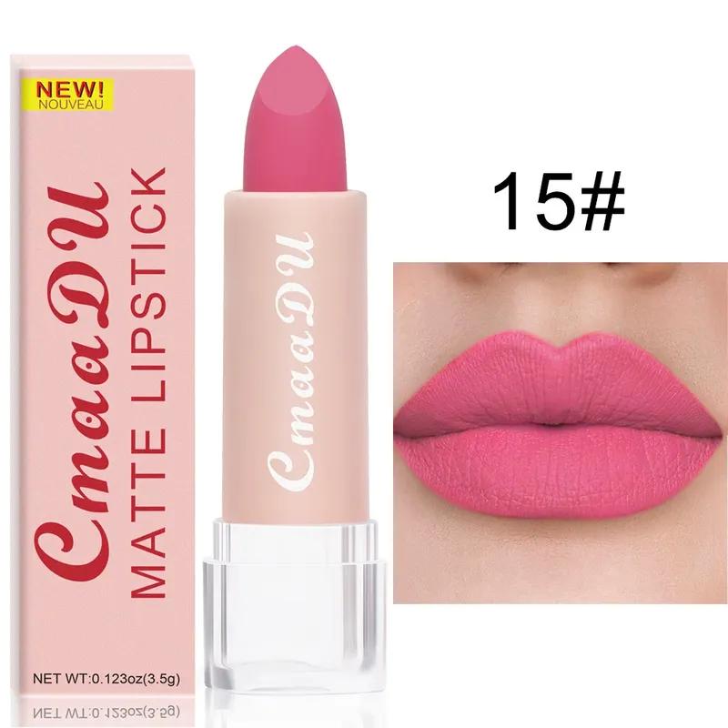 Batom Marrom Nude Matte 15 Cores À Prova D'água Gloss Labial Rosa Duradouro Não Cola Copo Sexy Vermelho Rosa Veludo Batons Maquiagem Feminina