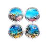 3D 30*30cm Underwater World Biology Wall Stickers Make Your Room Full Of Vitality Underwater World Decorate Fake Window Sticker