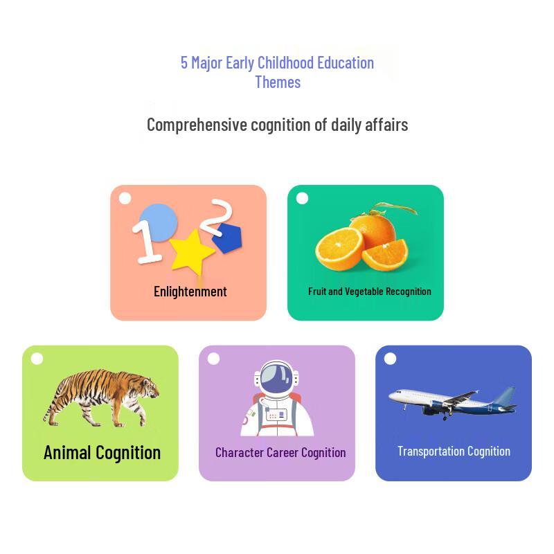 MY FIRST BOOK Early Learning Cognition Card Set
