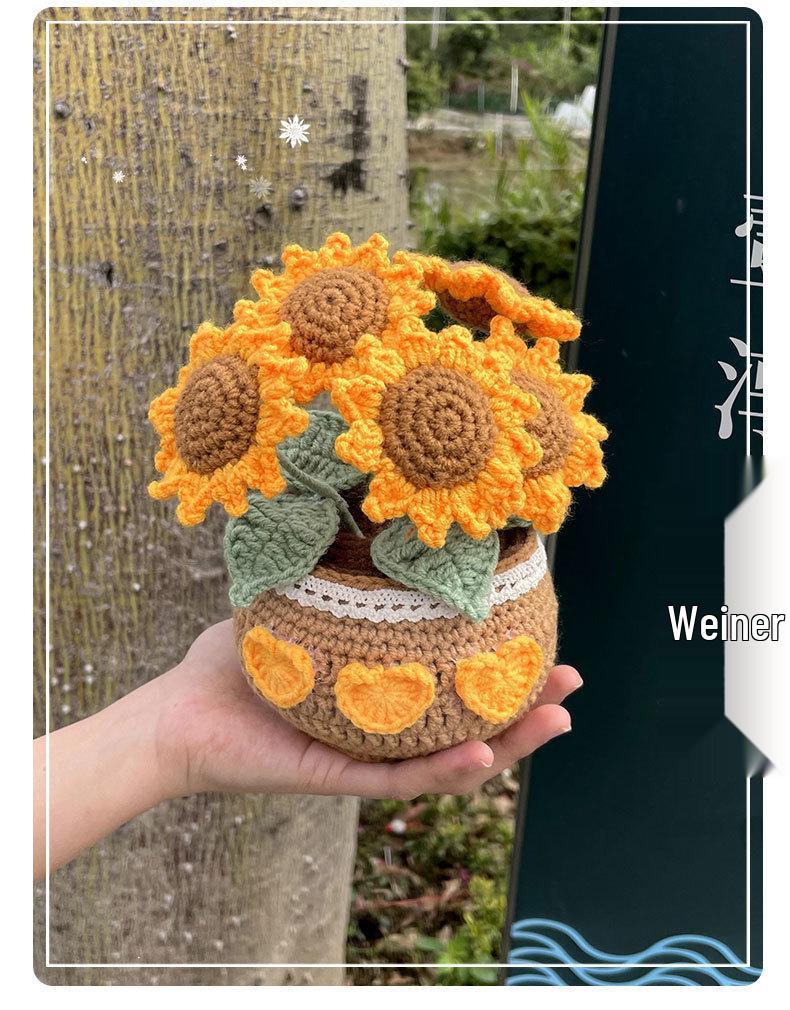 Crochet Tulip & Daisy Potted Bouquet Kit - Yarn Flowers & Ornaments