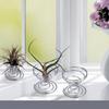 Air Plant Stand Plant Displa Stainless Steel Container