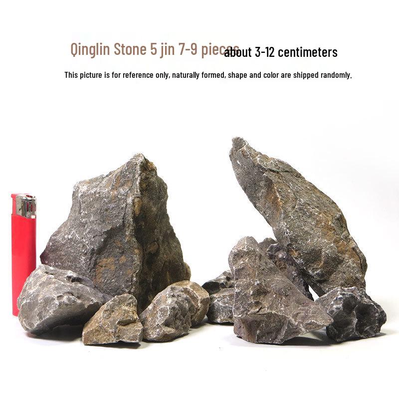 Azure Dragon Aquarium and Bonsai Landscaping Stone Set