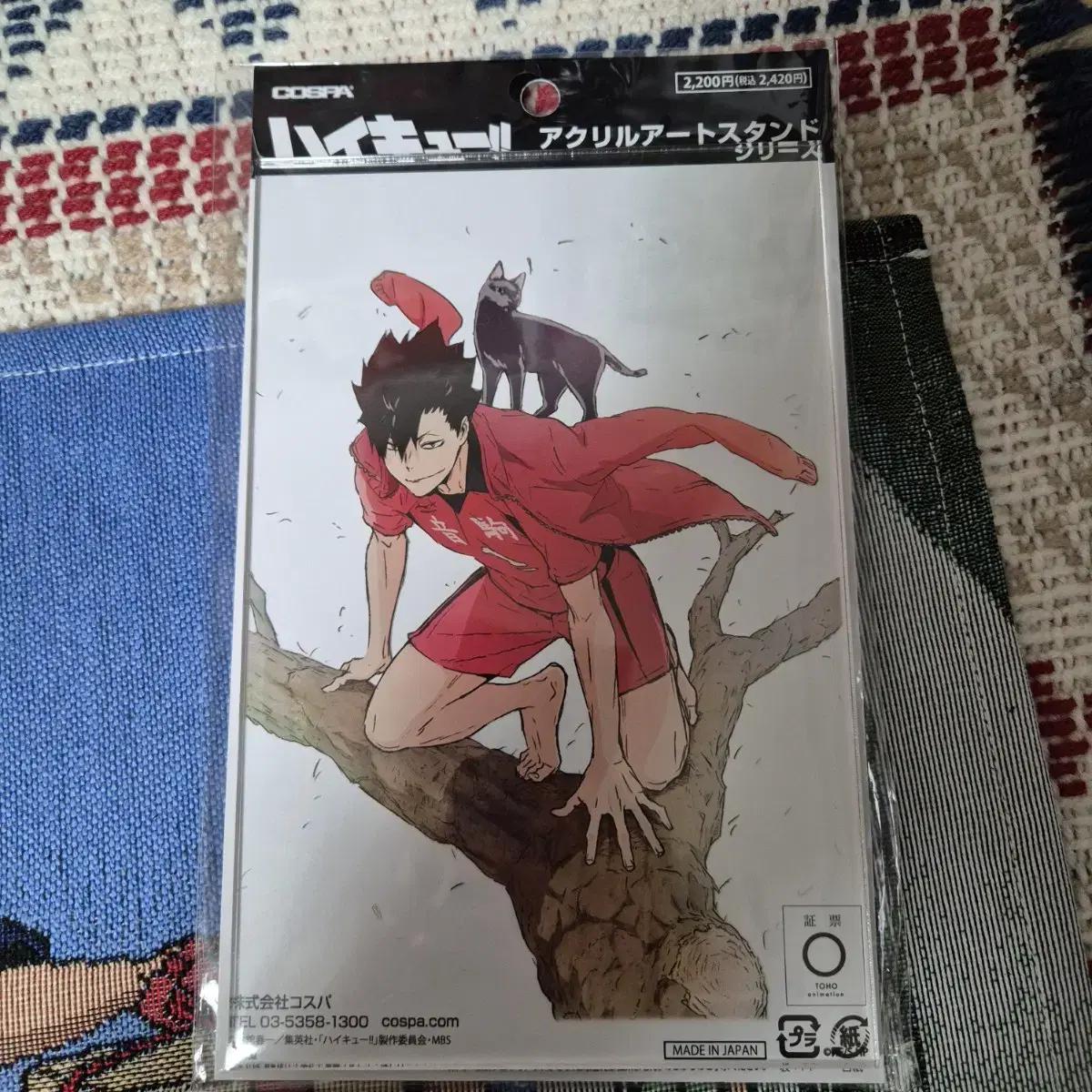 

Haikyu Kuroo босиком акрил